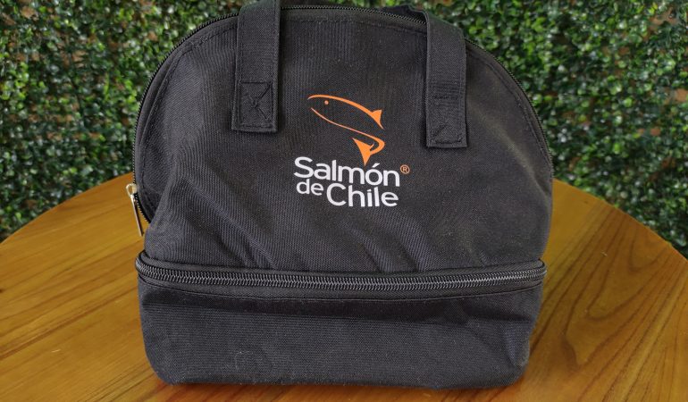 Bolsa Térmica Personalizada — Quais São Os Melhores Modelos?